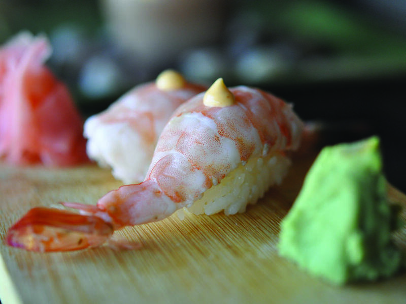 Shrimp Sushi